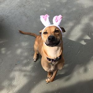 Meet your Posher, Elle